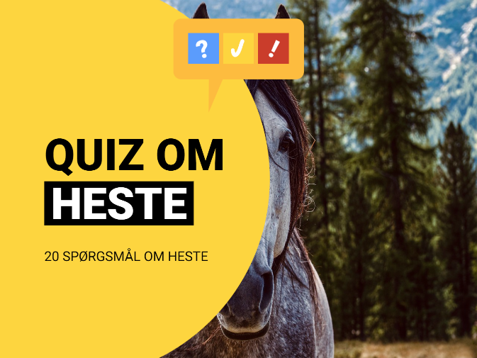 Quiz om Heste: Heste-quiz med 20 spørgsmål og svar